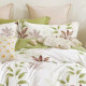 Housse de couette   240 x 220 +2 Taies FLORAL BEIGE  Coton Supérieur