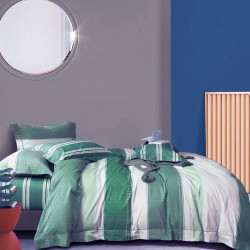 Housse de couette   240 x 220 +2 Taies GEOMETRIQUE Vert  Coton Supérieur