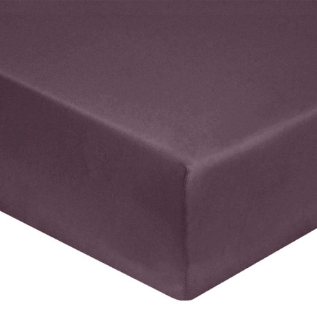 Drap Housse AUGERGINE  Jersey 160 gr Coton Bonnet de 30 cm 140 x 190 cm