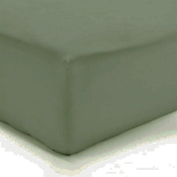 Drap Housse VERT Amande Jersey  Coton 160 gr-m2 Bonnet de 30 cm 160 x 200 cm