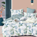 Housse de couette  240 x 220 cm + 2 Taies 64 cm A-24-16 Vert véritable Percale de Coton en déstockage